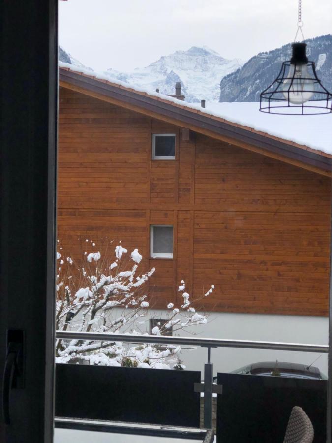 S&P Mountain View Apartment 1 Вильдерсвиль Экстерьер фото